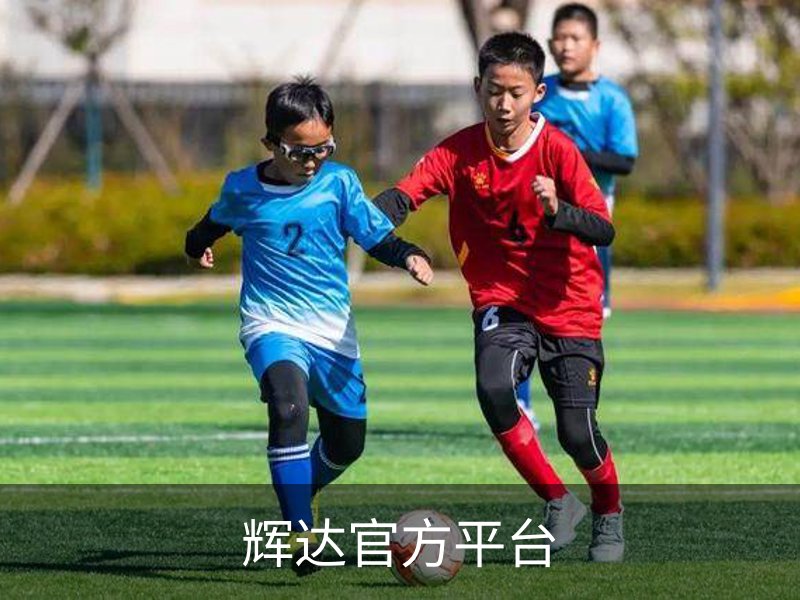 走进辉达官方平台